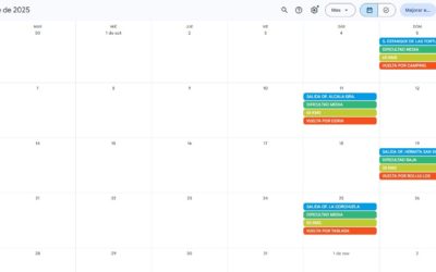 RESUMEN SALIDAS SEPTIEMBRE-OCTUBRE 2025